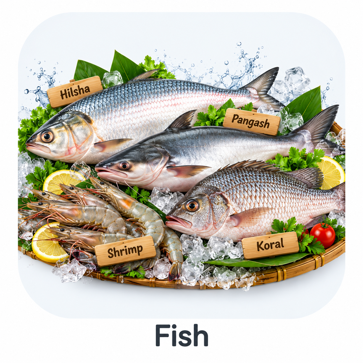 Fish